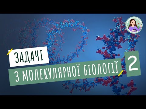 Видео: Розв'язання елементарних вправ з реплікації, транскрипції та трансляції