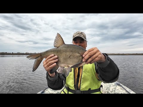 Видео: ПРОВЕРКА СЕТЕЙ. РЫБА СНОВА ЗАБИЛА СЕТИ. ХОРОШИЙ УЛОВ РАЗНОЙ РЫБЫ.