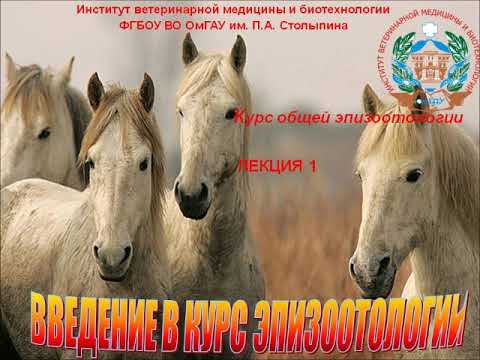Видео: Видеозанятие 1. Введение в курс эпизоотологии