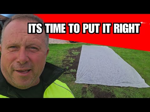 Видео: Повторный посев и выравнивание после удаления кустов.