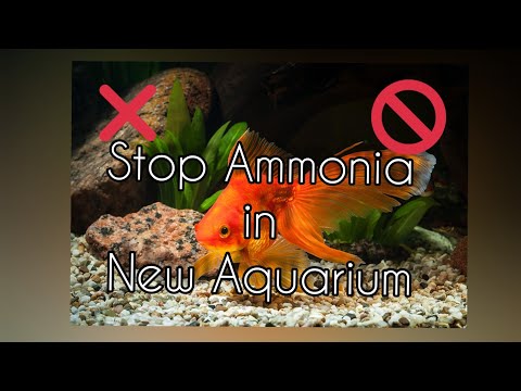 Видео: АММИАК В АКВАРИУМЕ — КАК БЫСТРО УСТРАНИТЬ ЕГО? НОВЫЙ АКВАРИУМ