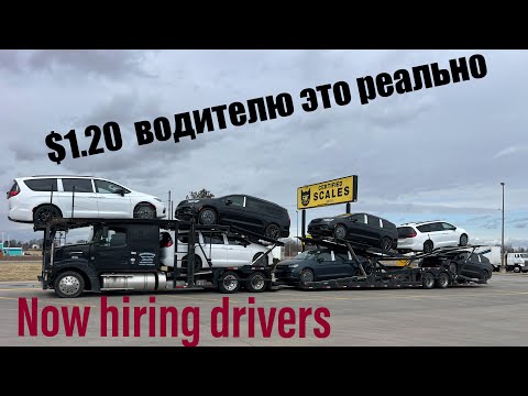 Видео: Все о этой работе, как устроиться на работу?