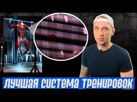 Видео: Лучшая система тренировок