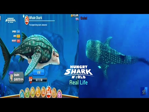 Видео: Все голодные акулы в реальной жизни. Hungry Shark World.