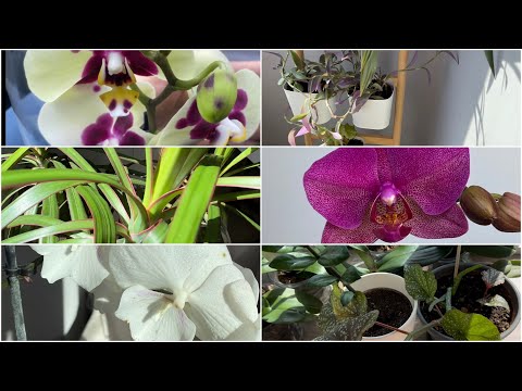 Видео: Просили про цветы? 🤪