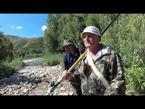 Видео: Рыбалка на Хариуса, Восток Казахстана🇰🇿