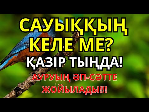 Видео: 100% ШИПА!! Күчтүү дуба - бардык оорулардан айыктырат!! | ДЕНЕГЕ ШЫПАА