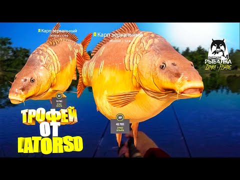 Видео: Русская рыбалка 4. 🎣 оз. Янтарное 🐋🐳💦 ТРОФЕЙ от LATORSO 👀