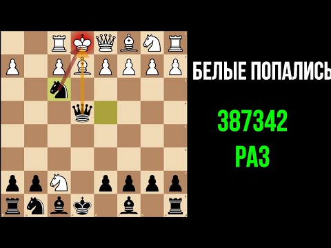 Видео: Ловушка чёрными против Итальянской Партии