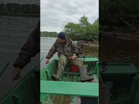 Видео: Ловля сома на квок!