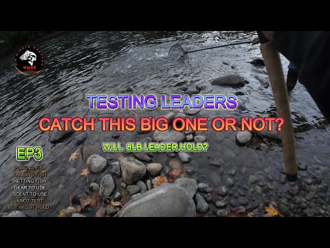 Видео: Хотите поймать стальноголового лосося или кижуча? Сегодня я проведу небольшой тест на рыбалке в C...