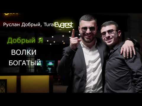 Видео: Руслан Добрый, Tural Everest ТОП ХИТЫ которые взорвали ТИК ТОК🔥🐺
