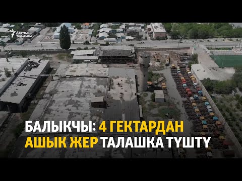 Видео: Балыкчы: 4 гектардан ашык жер талашка түштү