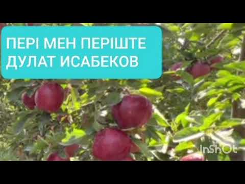 Видео: ПЕРІ МЕН ПЕРІШТЕ 1-ші бөлім| ДУЛАТ ИСАБЕКОВ | ПОВЕСТЬ
