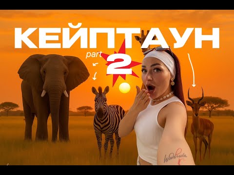 Видео: ОДНА В КЕЙПТАУНЕ: КРАЙ СВЕТА, БЕДНОСТЬ, ТРУЩОБЫ, РАБОВЛАДЕЛЕЦ, САФАРИ, МОРСКИЕ КОТИКИ