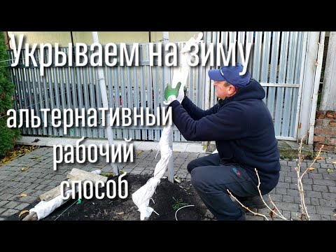 Видео: Если укрывать ЗЕМЛЁЙ тяжело-ЕСТЬ ВЫХОД! Проверенный способ укрытия без лопаты и труда! 100% работает