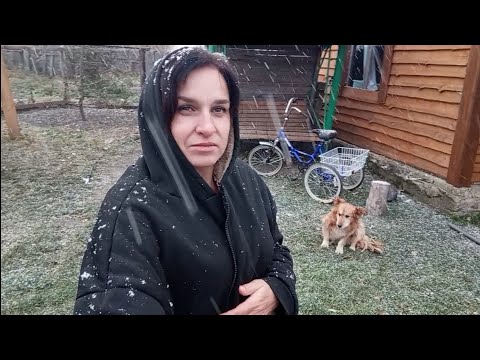 Видео: И до нас добрался первый снег / жизнь в деревне Казахстана 🇰🇿 