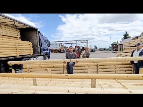 Видео: инстинкт выживания #дальнобой #дальнобойщик #фура #мусофирлар #перегон #trucker #daf