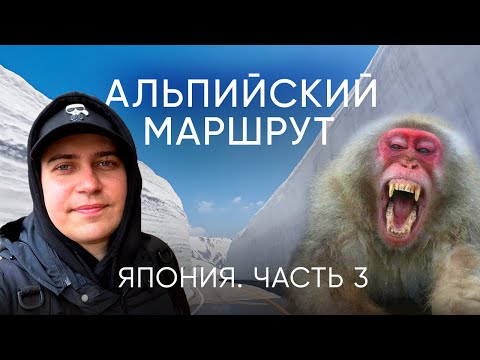 Видео: Наше Безумное Путешествие По Самому Загадочному Маршруту Японии!