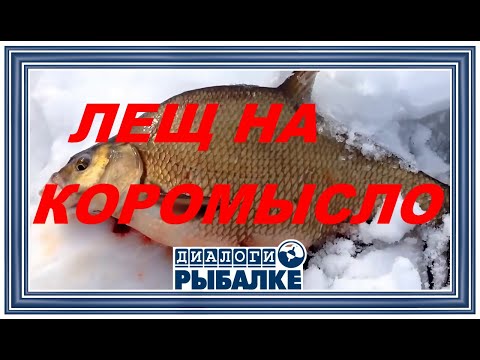 Видео: Диалоги о рыбалке - 057 / Лещ зимой на коромысло