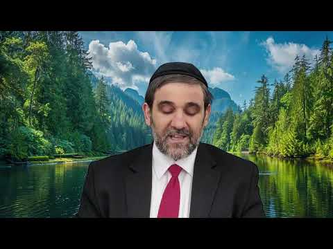 Видео: Должен ли водитель получить долю - Should the driver get a share, Rabbi Avraham Tabibov