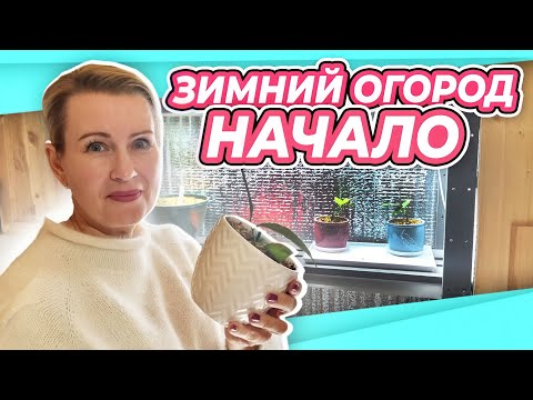 Видео: НОРМАЛЬНЫЕ ЛЮДИ ТАК ОГУРЦЫ НЕ САЖАЮТ | СЕМЕНА, ЛАМПЫ, УДОБРЕНИЕ зимний огород на подоконнике