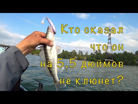 Видео: СУДАК на запрессованном месте. Просто ловить надо уметь.