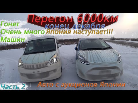 Видео: Зимний перегон Владивосток-Новосибирск🥶Toyota aqua и Delica D2/Вся трасса в перегонщиках!💥Часть 2