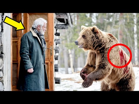 Видео: Замерзший медведь умоляет мужчину впустить его в дом. Он шокирован тем, что происходит дальше...