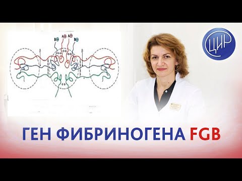 Видео: Ген фибриногена FGB
