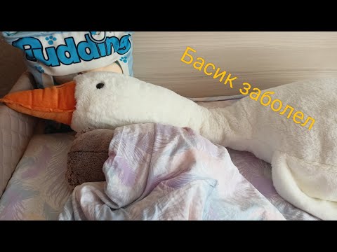 Видео: Басик заболел, но пошёл в школу 📚
