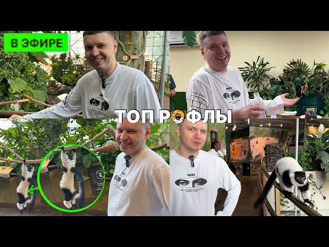 Видео: ТОП РОФЛЫ С ЗООПАРКА, С ПАПИЧЕМ