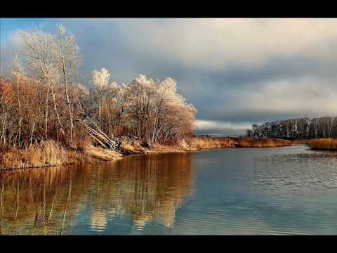 Видео: Плутон по домам гороскопа