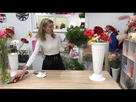 Видео: 35 гербер на «зелёной подушке»