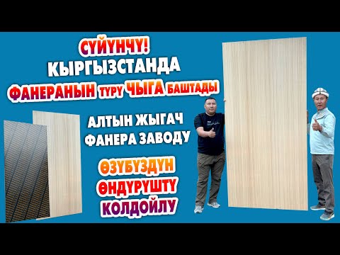 Видео: Кыргызстанда ФАНЕРА заводу ИШКЕ кирди, ѲНДҮРҮШ күч алды ~ ПАТРИОТ бол, ѳзүбүздүн ѲНДҮРҮШТҮ колдо!