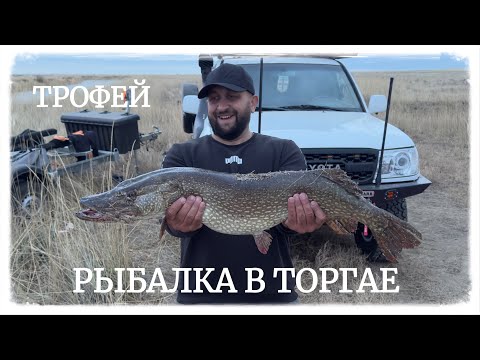 Видео: ТРОФЕЙ на воблер. Словил и отпустил около 50 щук. Блесна Rasanen работает, р. Шортанды, Торгай