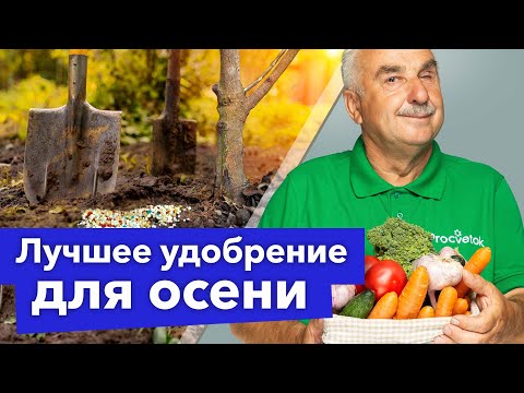 Видео: КАКИЕ УДОБРЕНИЯ НУЖНО ОБЯЗАТЕЛЬНО ВНЕСТИ В ПОЧВУ ОСЕНЬЮ?
