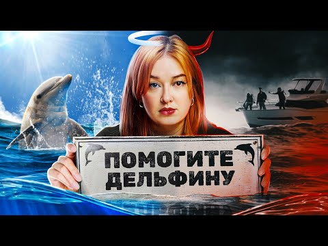 Видео: Зоо-активиста обвинили в нacилии над животным. Скандальная история Алана Купера