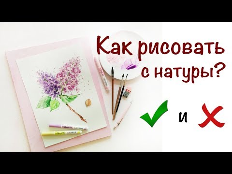 Видео: КАК РИСОВАТЬ С НАТУРЫ? АКВАРЕЛЬ ДЛЯ НОВИЧКОВ - УРОК РИСОВАНИЯ