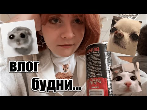 Видео: университетский влог (и не только)