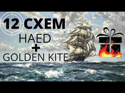 Видео: 12 ПЕРЕНАБОРОВ ГИГАНТОВ ШИКАРНЫЕ СХЕМЫ HAED, GOLDEN KITE ДЛЯ ВАС