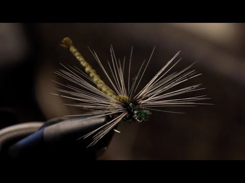 Видео: Девица Муха