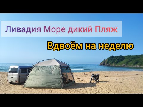 Видео: Ливадия Приморье Июнь Море Дикий пляж уехали Вдвоем на неделю отдых в Палатке взяли с собой Альфу