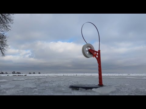 Видео: ПЕРША РИБОЛОВЛЯ НА ЖЕРЛИЦІ. Відкриття зимового сезону 2023