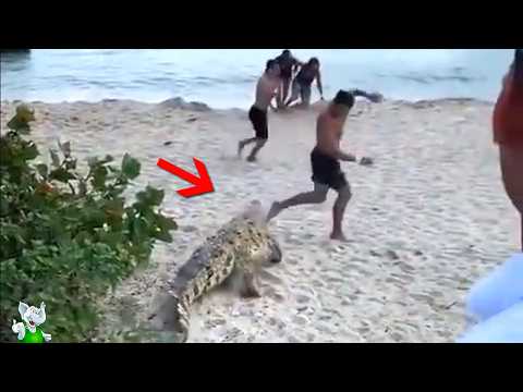 Видео: 1 На Миллион: Это Снято на Камеру в Реальной Жизни!