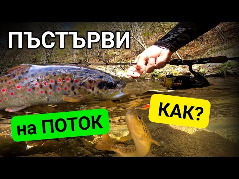 Видео: КАК ДА ловим Балканска ПЪСТЪРВА на планински поток | HOWTO  Trout Fishing at small mountain creek