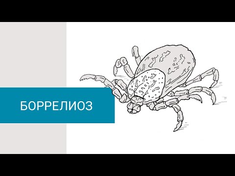 Видео: Пандемия 21 века. Боррелиоз.