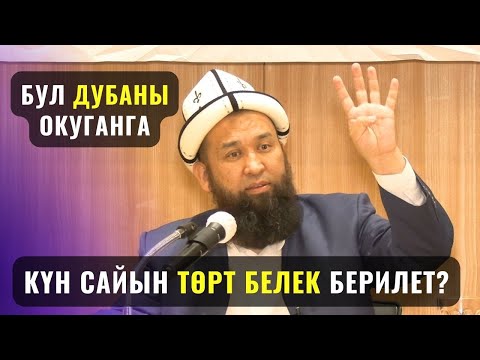 Видео: БУЛ ДУБАНЫ ОКУГАНГА КҮН САЙЫН ТӨРТ БЕЛЕК БАР! /Максат  ажы  Токомушев/ Чанен шаары