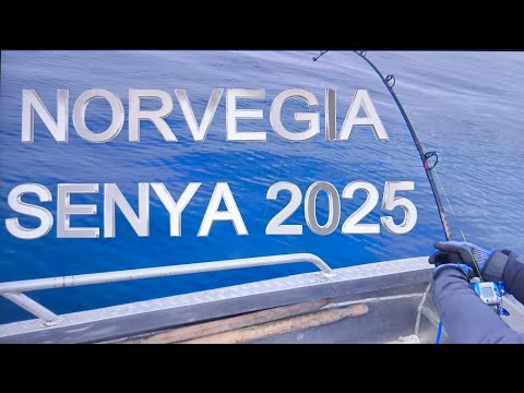 Видео: Рыбалка в Норвегии 2025 ! Первый день ! Первая Рыбка! Первая часть!