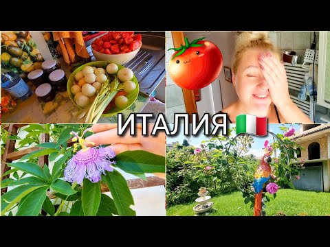 Видео: ИТАЛЬЯНСКИЙ БЫТ, СОСЕДИ ШПИОНЫ, ОГОРОД, НЕГОДУЮ, НЕ МОГУ ПОЕХАТЬ К МАМЕ